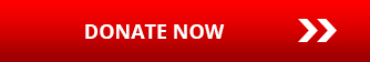 EN-support-button
