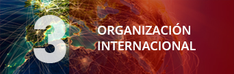 Una organización internacional