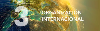 Una organización internacional