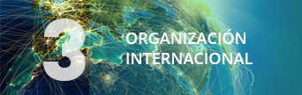 Una organización internacional