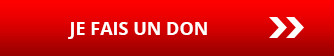 FR-option2-bouton-don